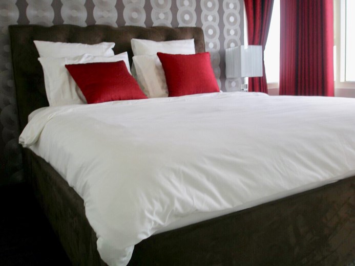 Apartment for rent BT1011113 (3)